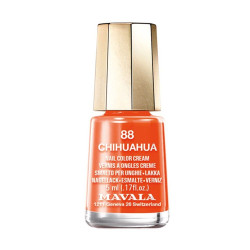 Minilack - 88 Chihuahua